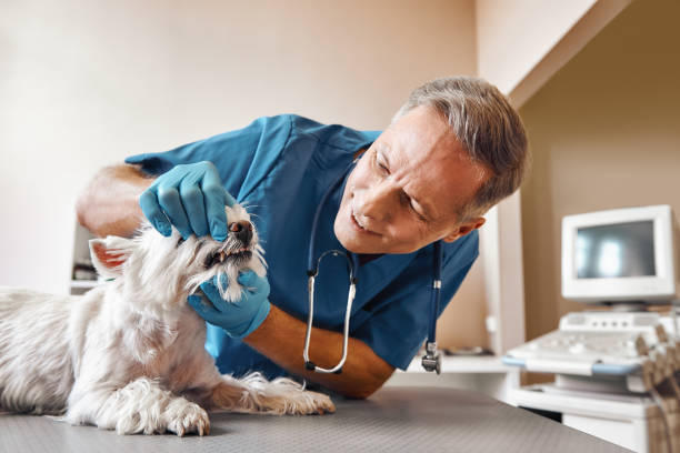 Best Same-Day Emergency Dental Services in Lynwood, CA